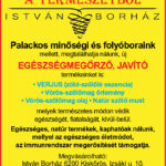 IstvánBorház_2023_4