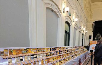 A magyar termelői méznél nincs is jobb