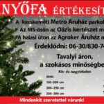 másolat csillogó