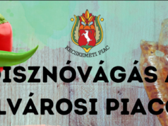 Hagyományokat idéző disznóvágás a Budai utcai Piacon