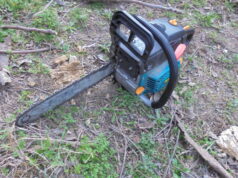 Ezúttal fatolvajokat fogtak a városrendészek – Ismét lopás kísérlet,és egyéb bűncselekmények ügyében intézkedtek a közterület-felügyelők