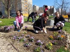 Közel 400 tavaszi virág került kiültetésre az Érzékelések kertjében