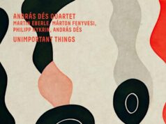 Dés András Quartet: Unimportant Things