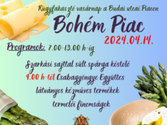 Rügyfakasztó vasárnappal indul a „Bohém Piac” a Budai utcai Piacon