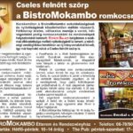 04.08.mokambo
