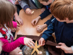 Tíz éve nem vonzott olyan sok elsőhelyes jelentkezőt a tanító szak, mint az idei felvételin