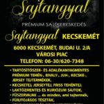 04.22.sajtangyal