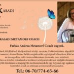 04.30.Metamorf