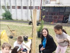 K&H állatbarát ligettel gazdagodott a Kecskeméti Lánchíd Utcai Sport Általános Iskola