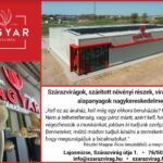 05.22.MAGYAR SZÁRAZVIRÁG