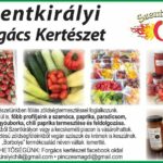 05.22.SZENTIKIRÁLYI FORGÁCS KERTÉSZET.1