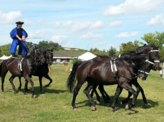 Hagyományőrző Lovas Betyárok Egyesülete
