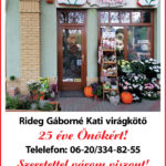 06.12.NefelejcsViragbolt_2024