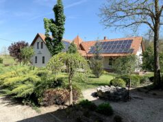 Utainkon erdők kísérnek