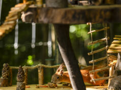 Megnyílt az ország első K&H állatbarát ligetek mókus játszótere