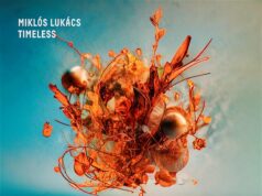 Lukács Miklós: Timeless