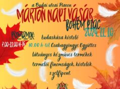 Márton napi vásár a Budai utcai Piacon