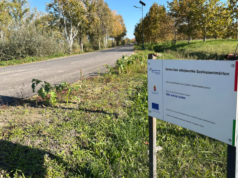 Belterületi útfejlesztés Szalkszentmárton