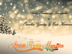 ÁLDOTT KARÁCSONYI ÜNNEPEKET KÍVÁNUNK S BOLDOG ÚJ ÉVET!