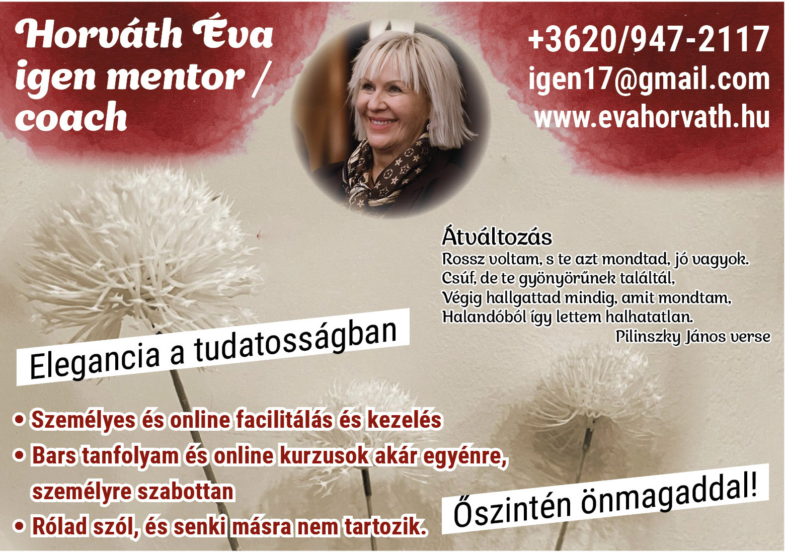 Éva Horváth  (IgenMentor)