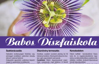 BABOS DÍSZFAISKOLA-FÜLÖPHÁZA