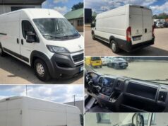 Wolf Distribution Kft