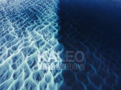 Kaleo: Mixed Emotions