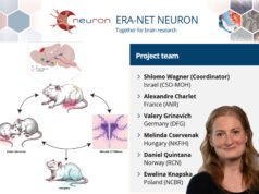 Társas kapcsolataink is befolyásolják a fájdalomérzékelésünket? Nemzetközi kutatás a krónikus fájdalommal élőkért