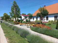 Teljes erőből fejlesztenek