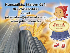 JÚLIA MALOM- Kunszállás