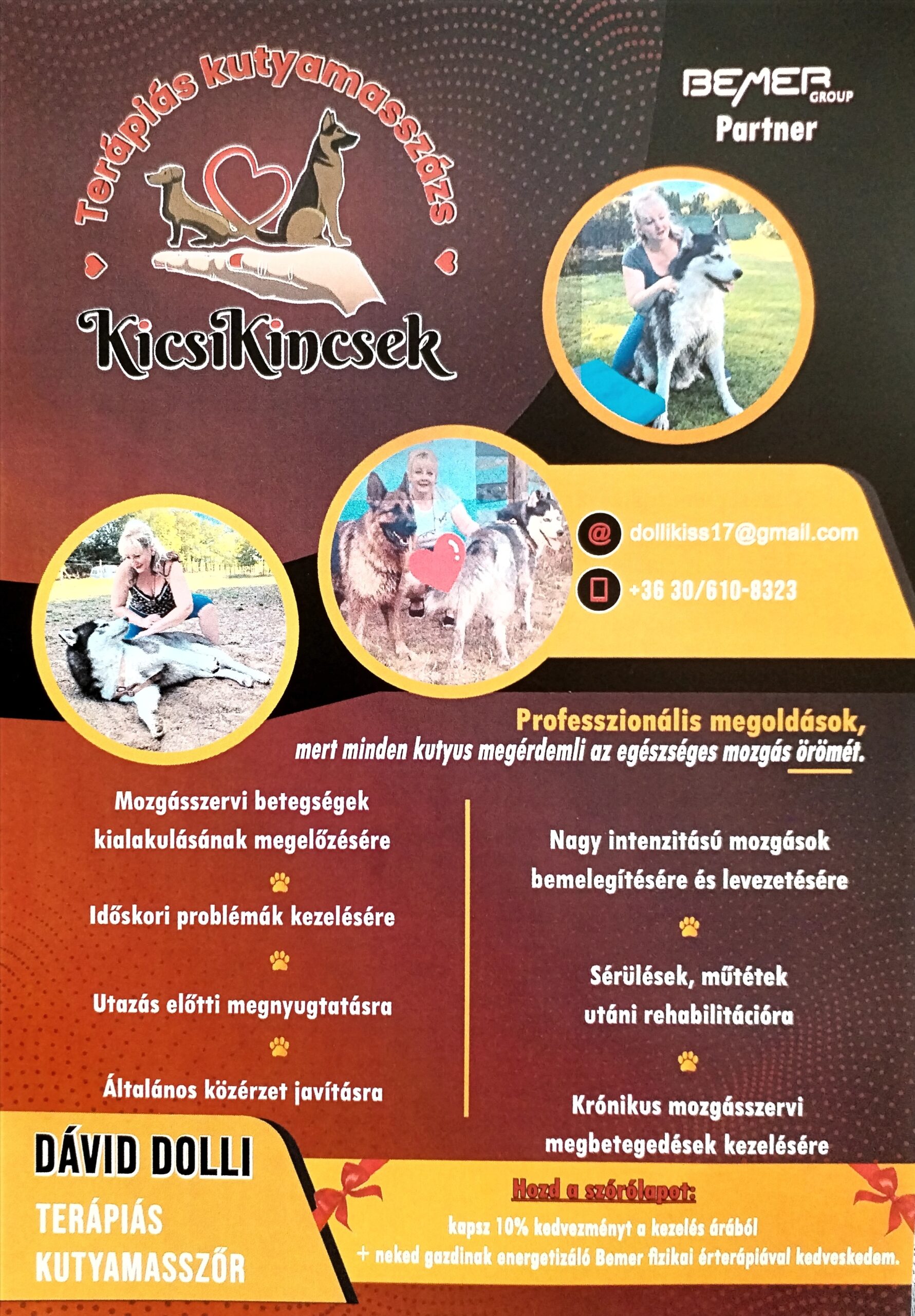 DÁVID DOLLI KUTYAMASSZŐR