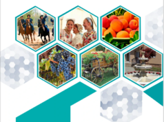 ELÉRHETŐ LAPOZGATÓS VÁRMEGYE KÖNYV 2025