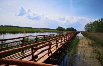 TISZA MENTI ÉKSZERDOBOZ