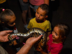 Halloweeni Bor-zoo-ngás a Kecskeméti Vadaskertben!