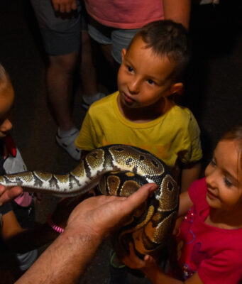 Halloweeni Bor-zoo-ngás a Kecskeméti Vadaskertben!