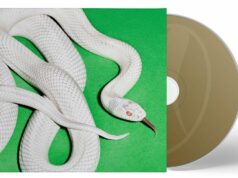 Deftones: private music