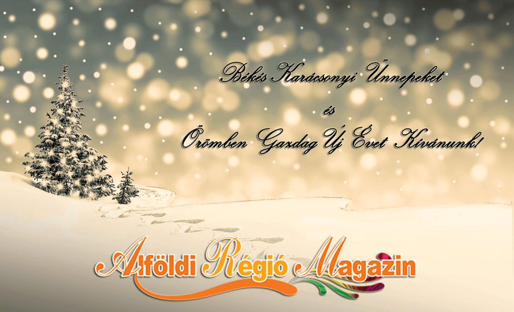 BOLDOG KARÁCSONYT KÍVÁN AZ ARM CSAPATA