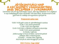 JÓTÉKONYSÁGI NAP A KECSKEMÉTI VADASKERTBEN