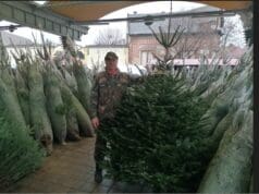 Piaci Fenyőláz 2025 december 09-től ismét Kecskeméten.