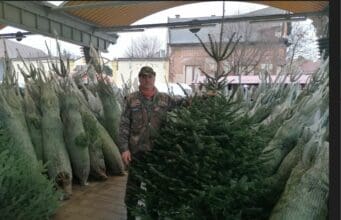 Piaci Fenyőláz 2025 december 09-től ismét Kecskeméten.