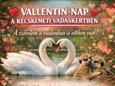 Szombaton és vasárnap Valentin-nap és Állatok Farsangja a Kecskeméti Vadaskertben!