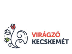 Folyamatos a felkészülés az európai megmérettetésre