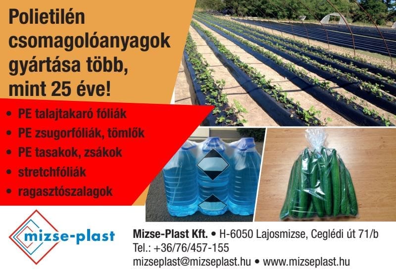 Mizse-plast – Lajosmizse