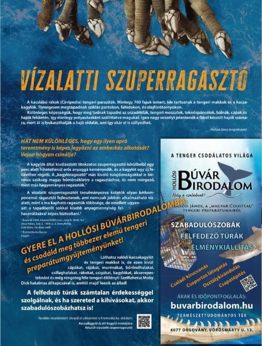 Búvár Birodalom- Orgovány