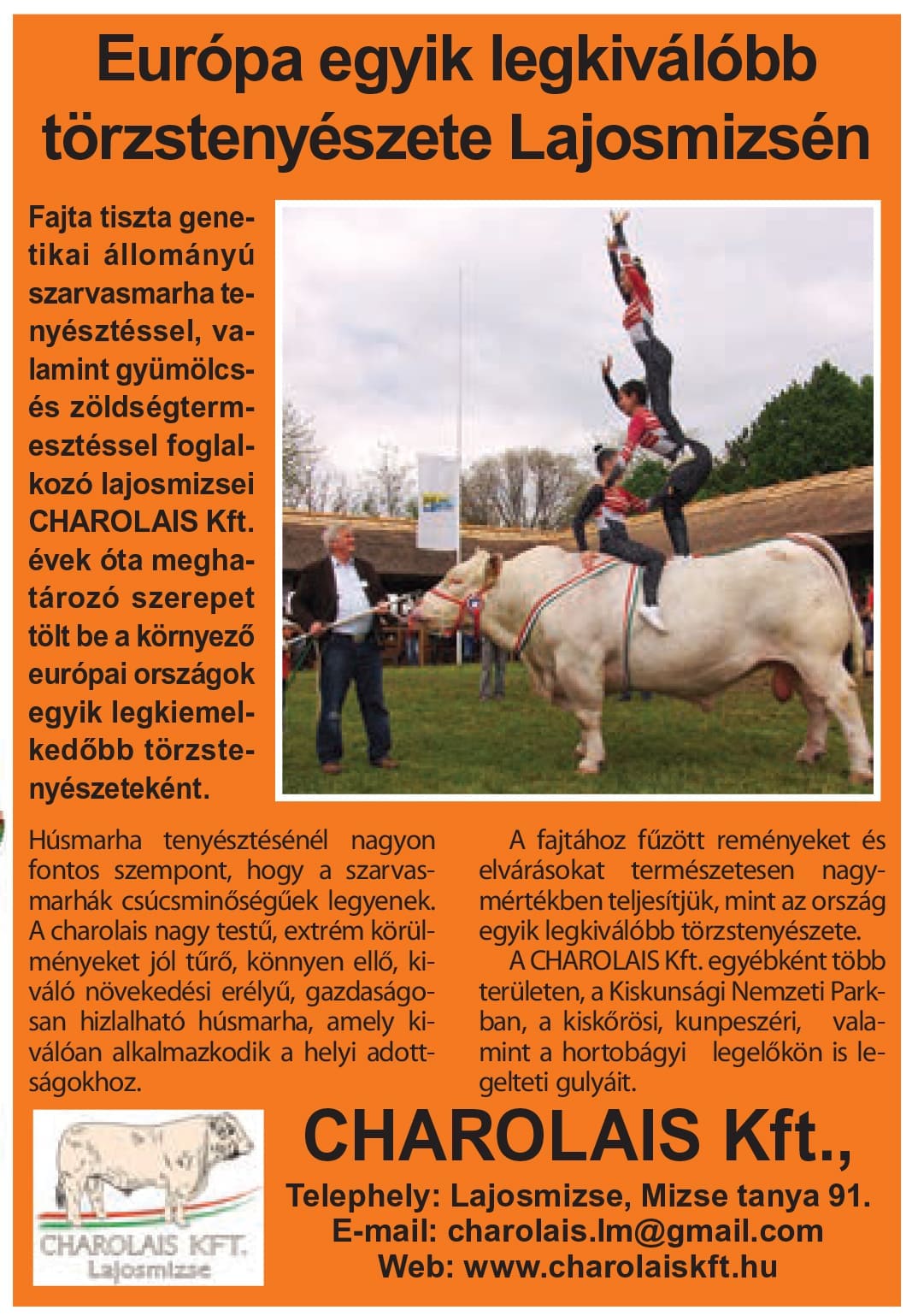 Charolais Kft. Lajosmizse