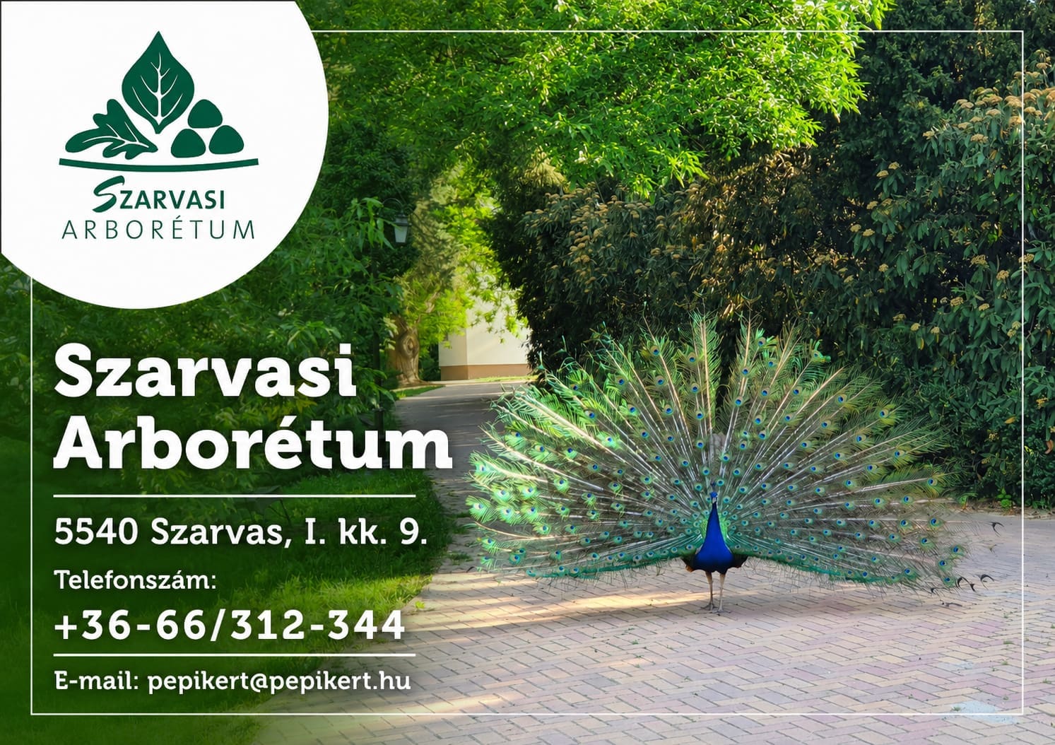 SZARVAS ARBORÉTUM