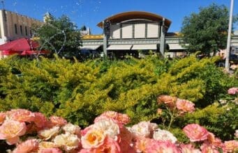 Összefogás a kecskeméti piacok jövőjéért